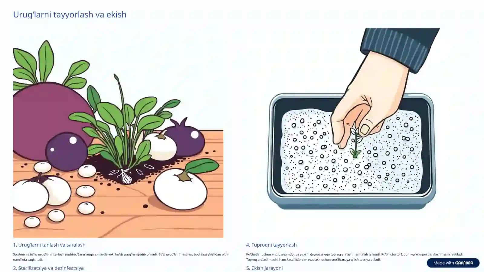 Palız eginleri nállerin egiw texnologiyası 4