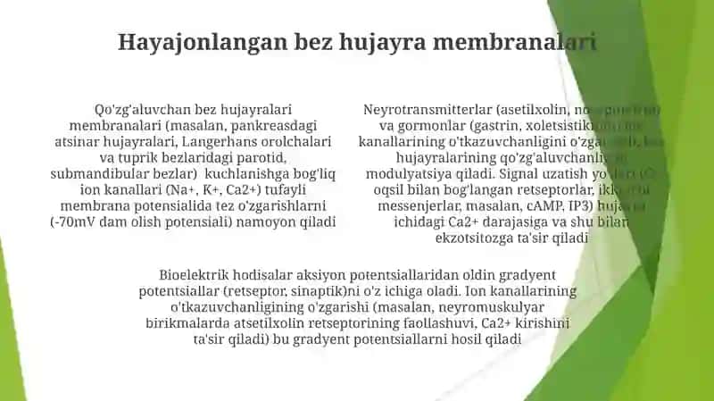 Qoʻzgʻaluvchan toʻqima(bezlarda) bioelektrik hodisalar 4