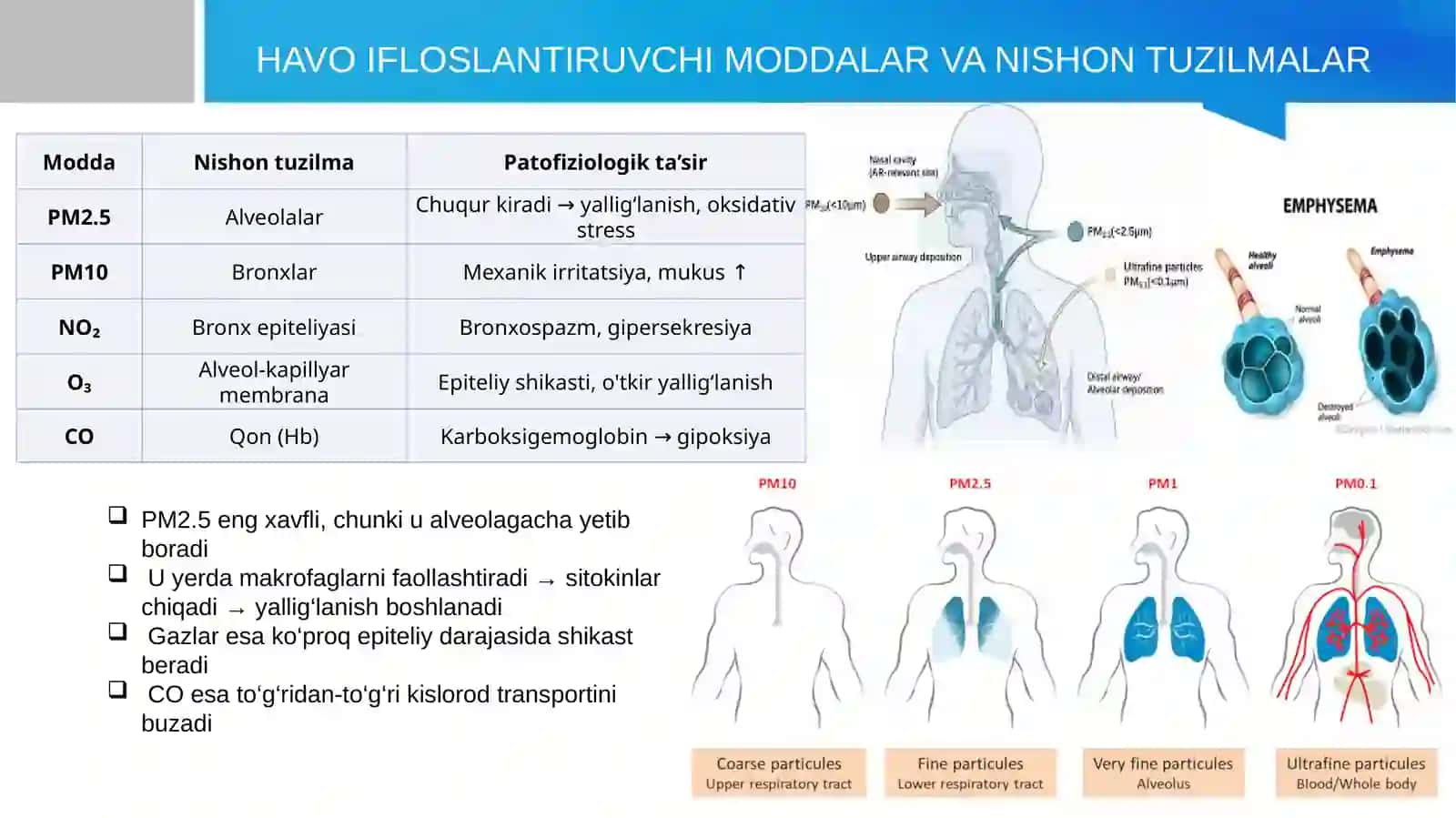 Havo ifloslanishining o'pka patologiyasidagi ahamiyati 4