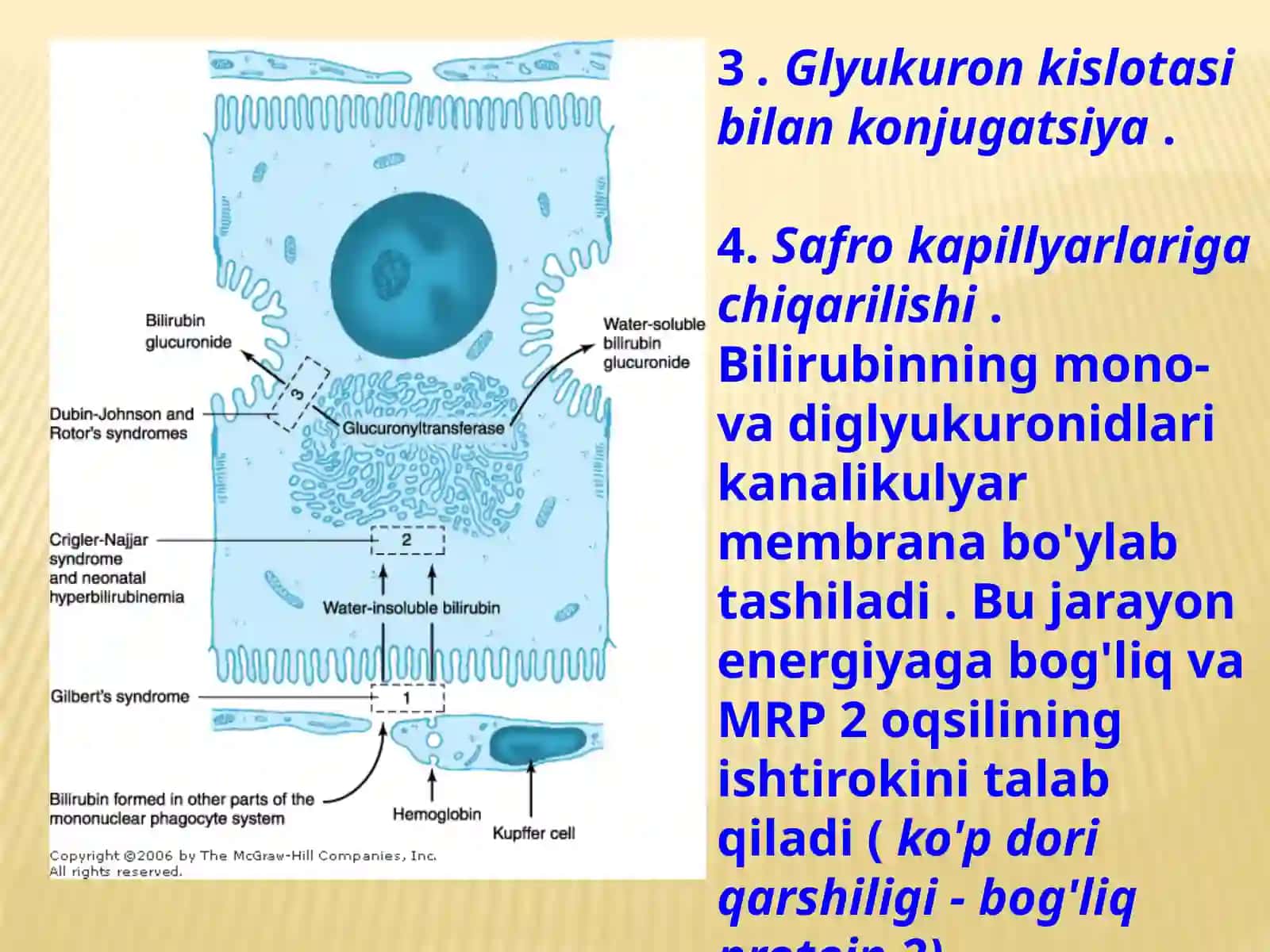 YANGI TUG'ILGAN CHAQALOQLARDA SARIQLIK 4