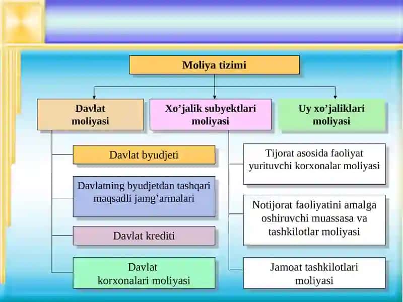 Davlat Moliyasining Mohiyati va Ahamiyati 4
