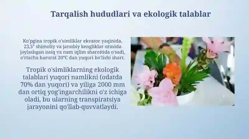 Tropik mintaqa oʻsimliklari haqida maʻlumotyigʻish 4