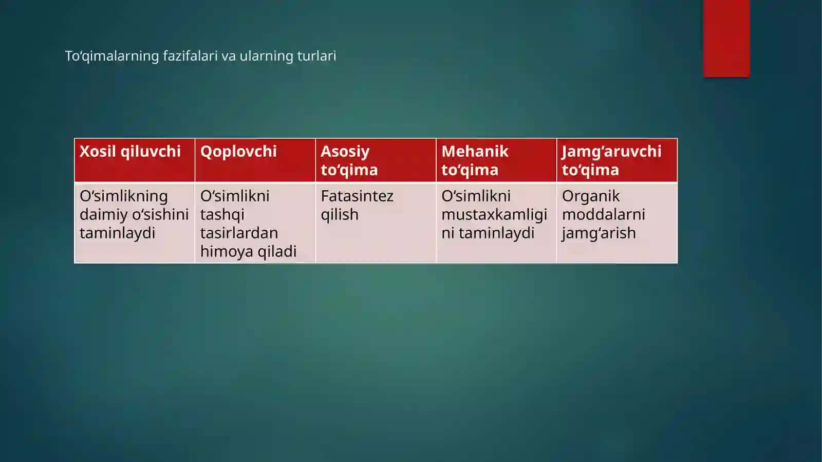 O‘simlik to‘qimalari va ularning qishloq xo‘jaligidagi axamiyati 4