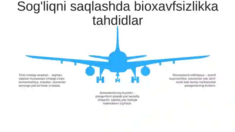 Inson Sog‘Lig‘Ini Saqlashda Bioxavfsilikni Ta’Minlash 4