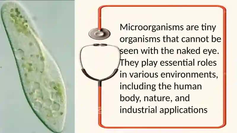 Microorganismis and Microbiologiy 4