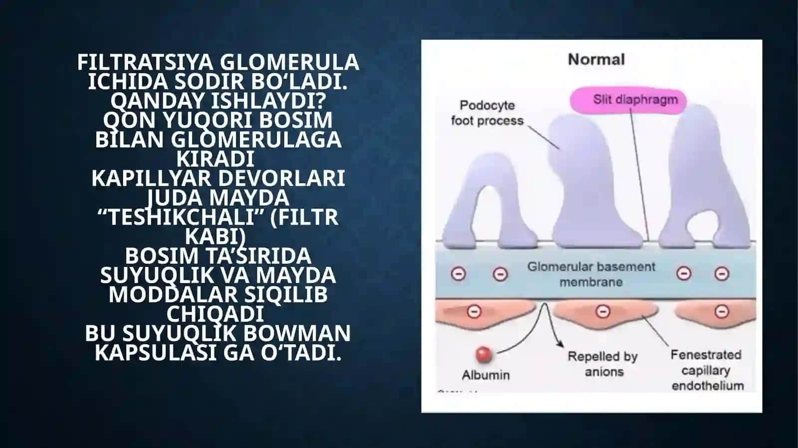 PATOLOGIK FIZIOLOGIYA FANIDAN MUSTAQIL ISHI 4