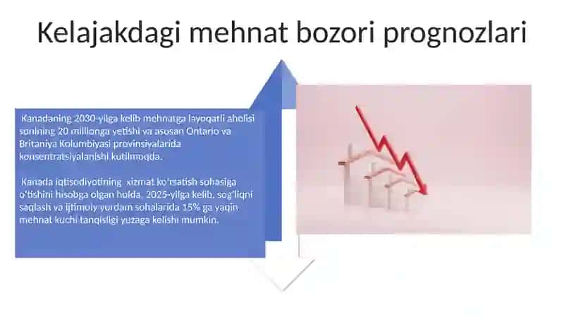 Kanada aholisi va mehnat bozori koʻrsatkichlari 4