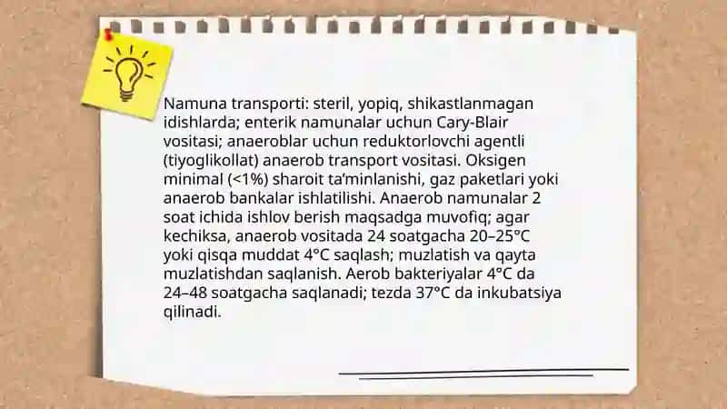 Aerob va anaerob bakteriyalarni sof xosilasini ajratish bosqichlari 4