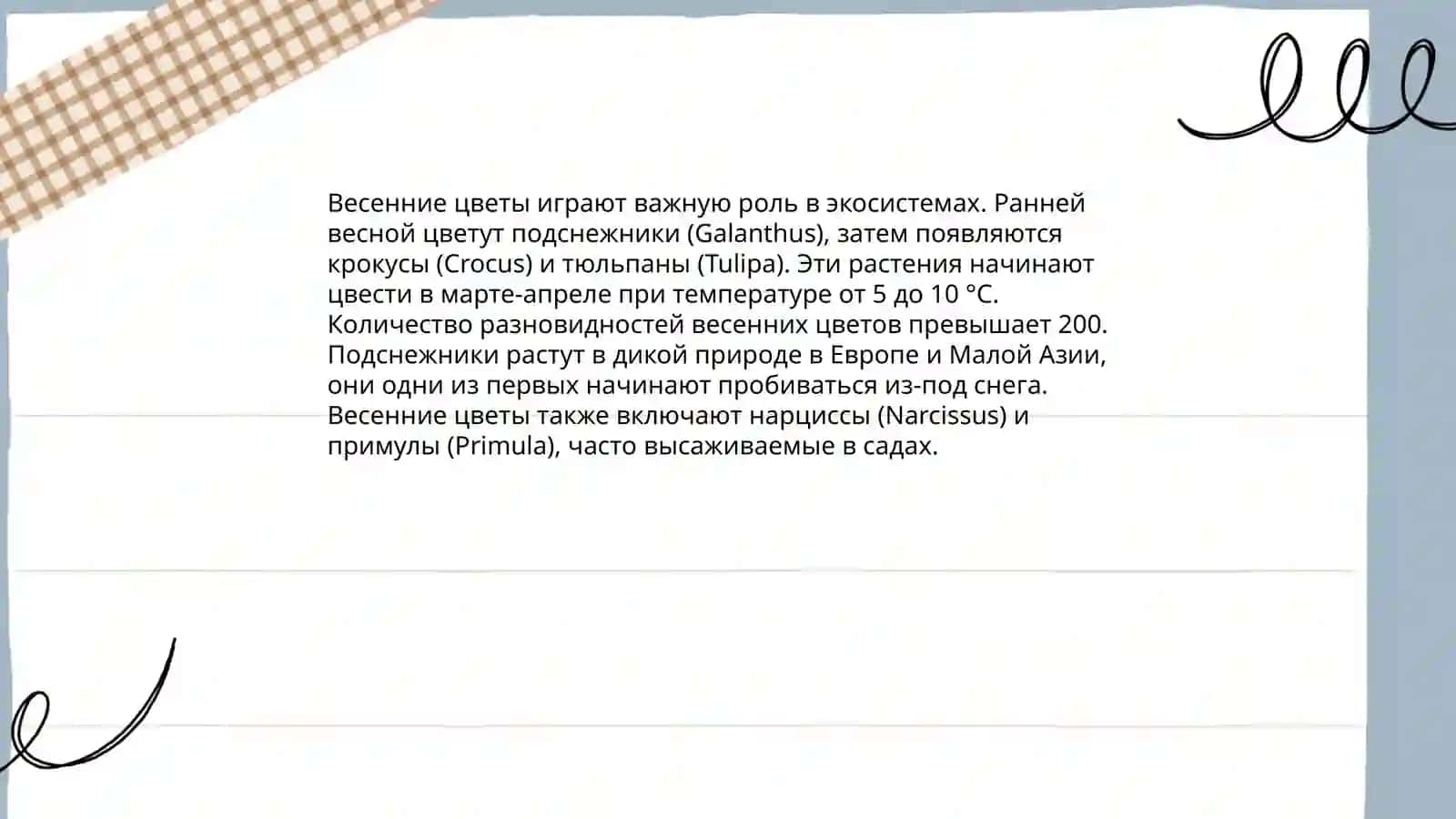 Весна 4