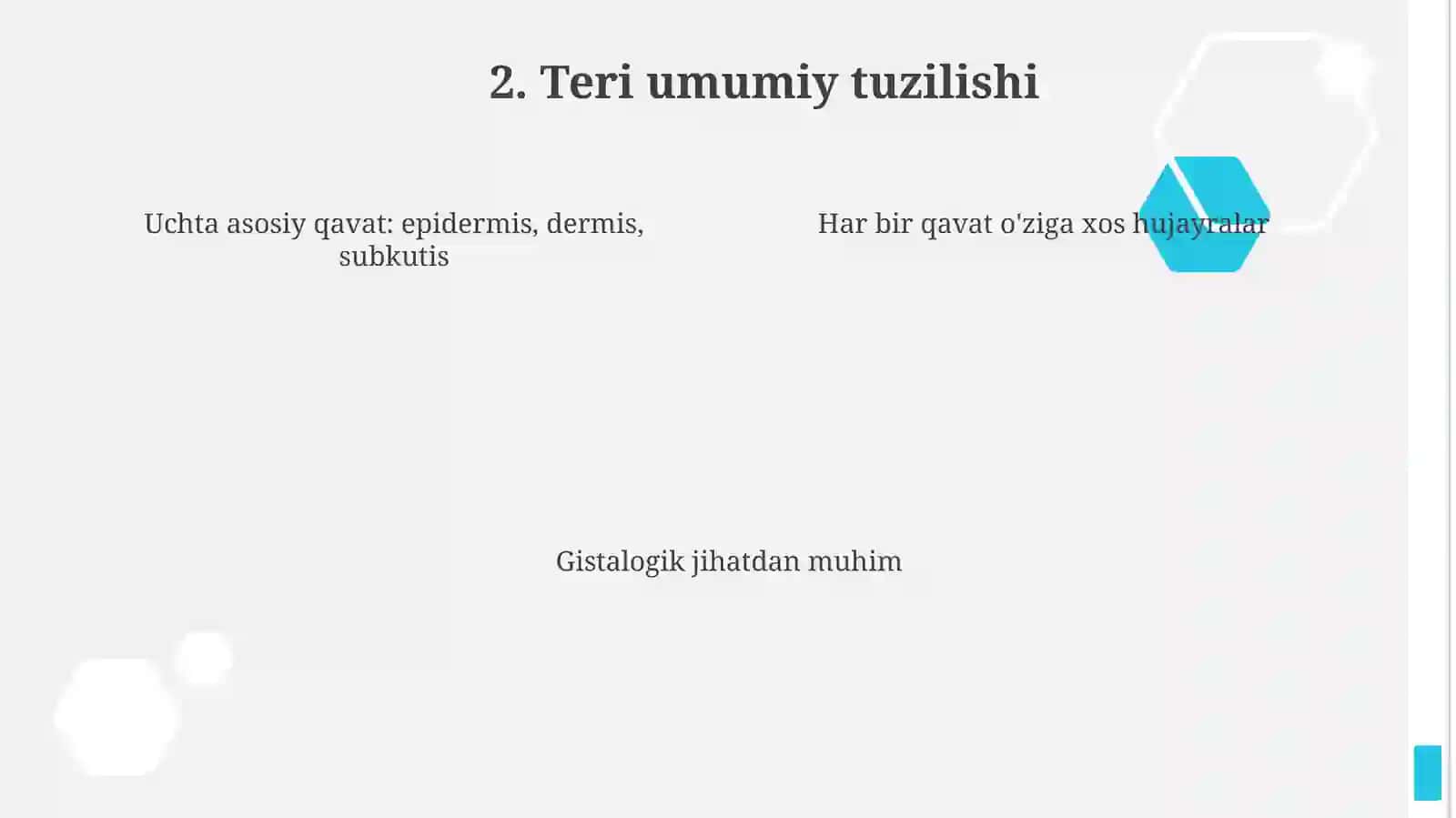 Teri funksiyasi. Teri va uning qavatlari gistalogiyasi 4