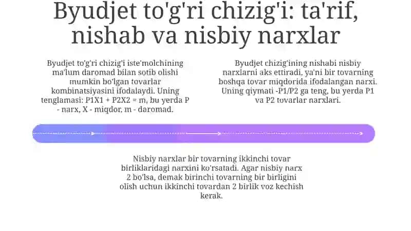 Byudjet cheklanganligi va byudjet tenglamasi 4
