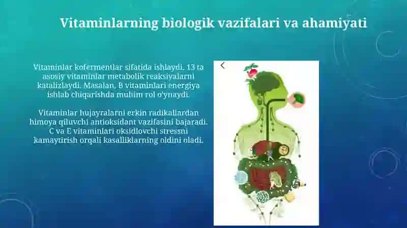 Organizmlarning vitamin bilan ta'minlanganligini o'rganish va baholash 4