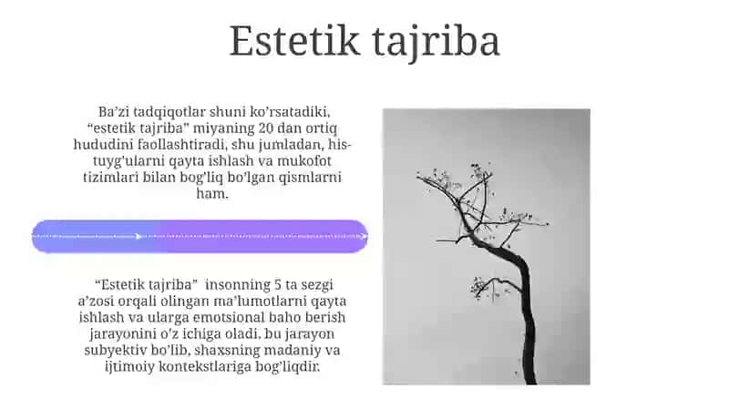 Estetika ( nafosat falsafasi ) 4