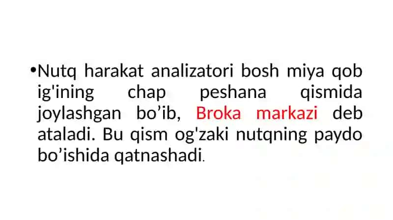 Nutqning anatomik-fiziologik mexanizmlari 4