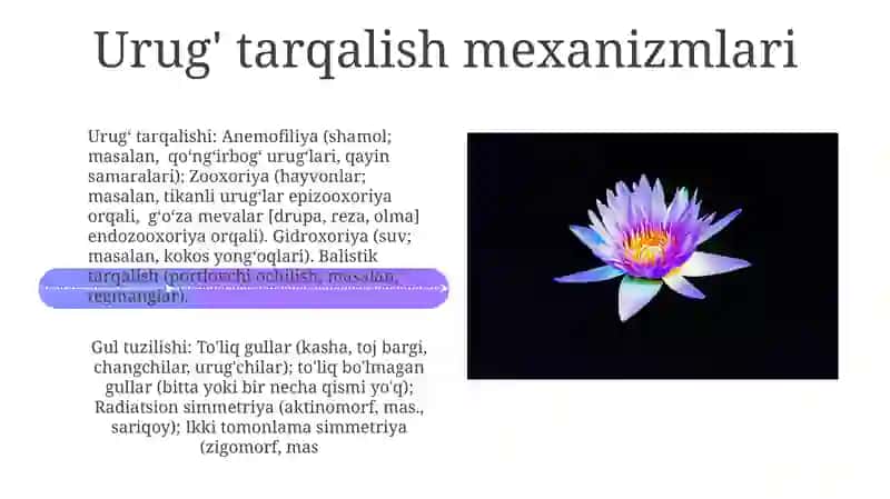 Meva tuzilishi va tiplari 4