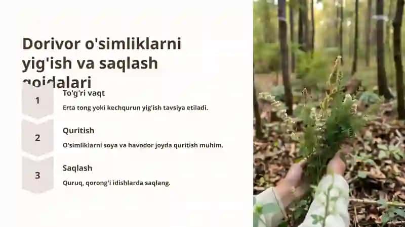 Dorivor o'simliklar: Tabiatning shifobaxsh kuchidan foydalanish 4