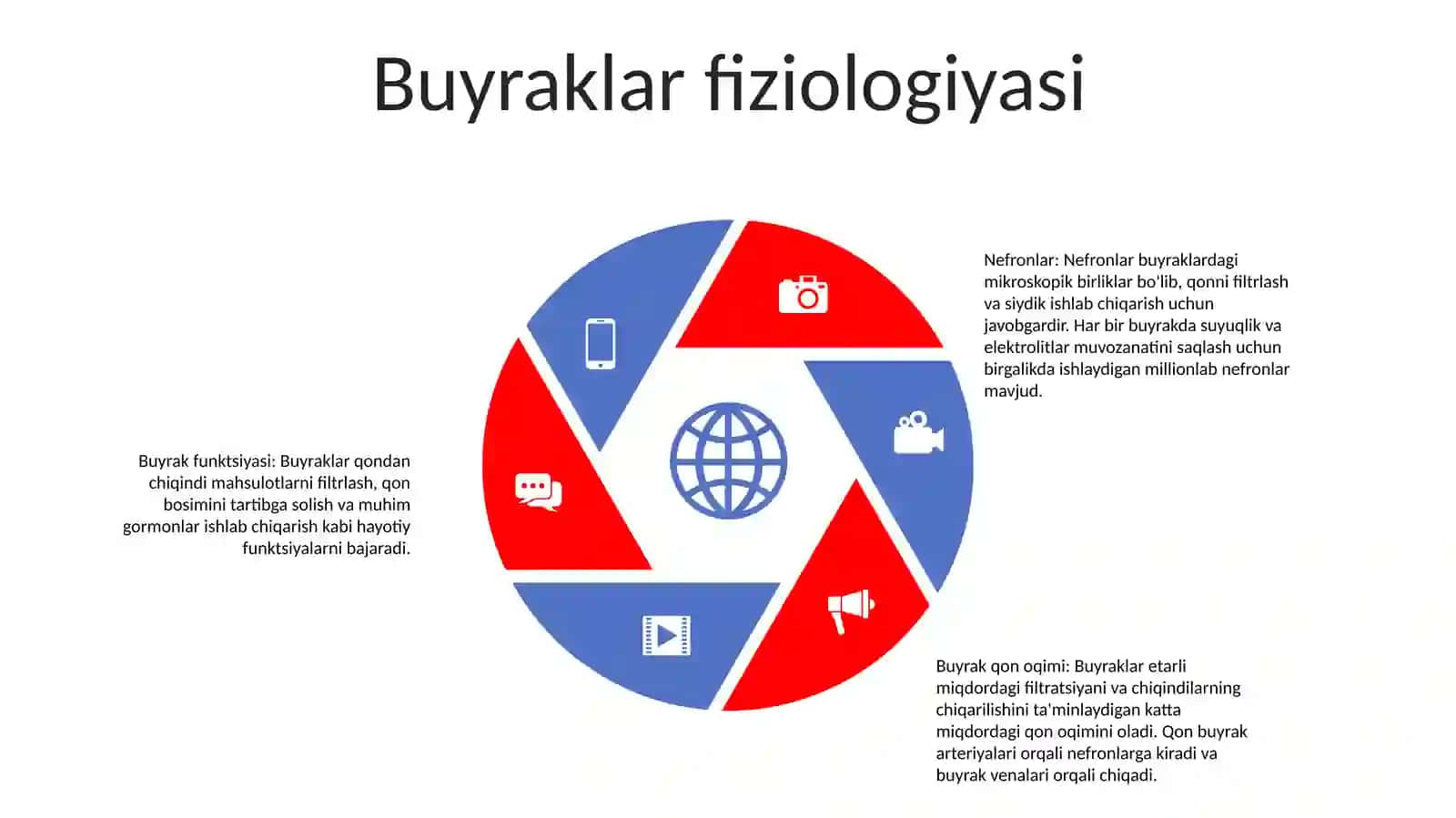 Ayiruv Tizimi Fizialogiyasi 4