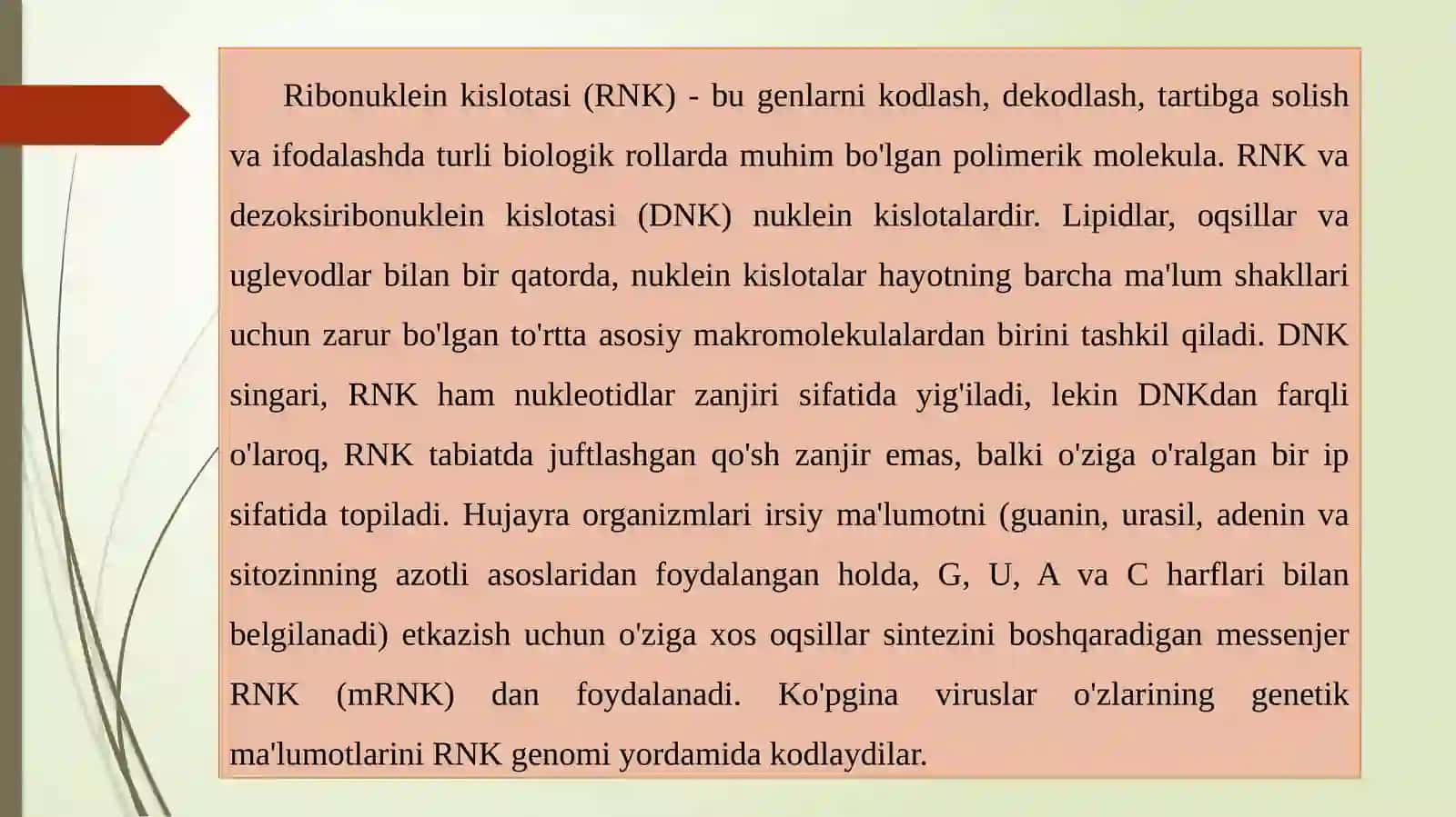 Genomning RNK darajasi 4
