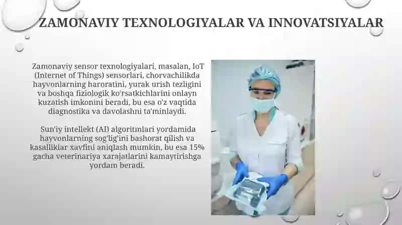 Ozuqa Achitqilaridan Foydalanish Samaradorligini Oshirish Usullari 4