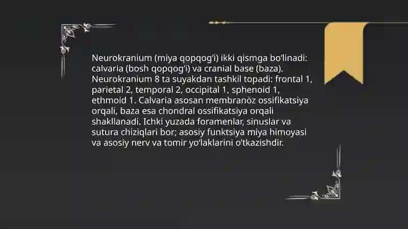 Bosh skeleti 4
