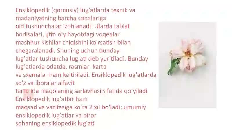 Lug‘atlar tizimi 4