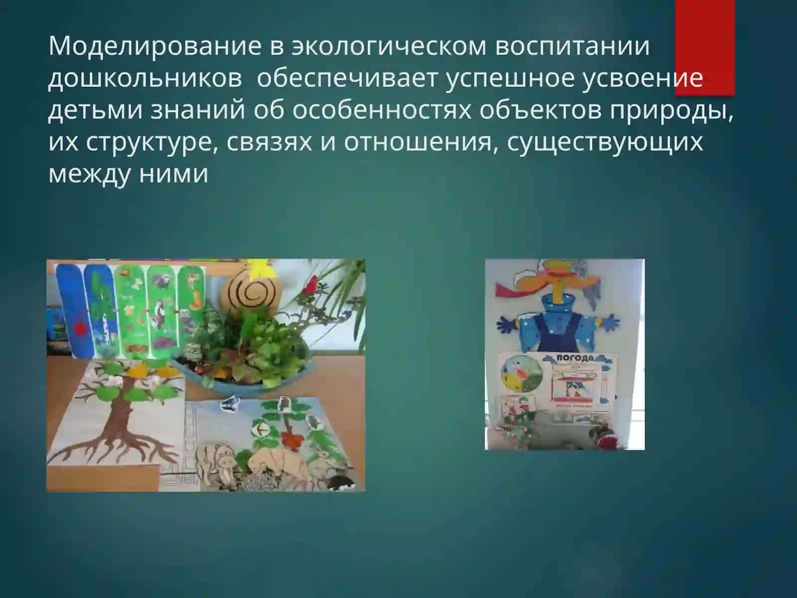 Графические модели и моделирующая деятельность в процессе ознакомления детей с природой 4