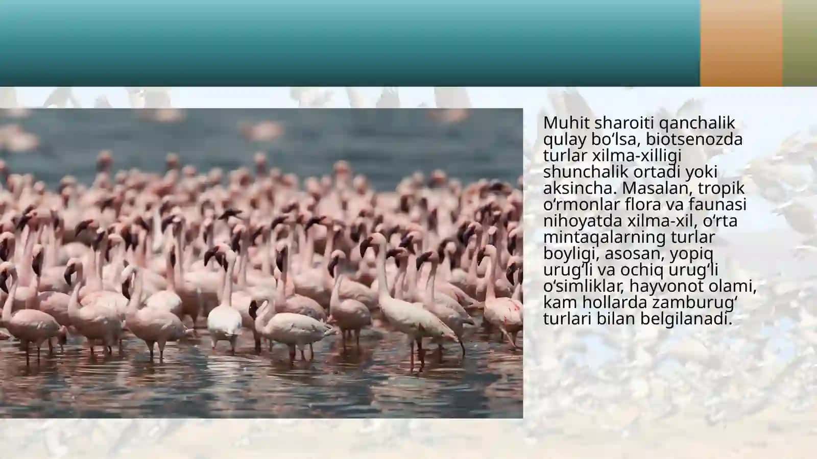 "Turning populationsktukturasi(davomi)" mavzusida 4