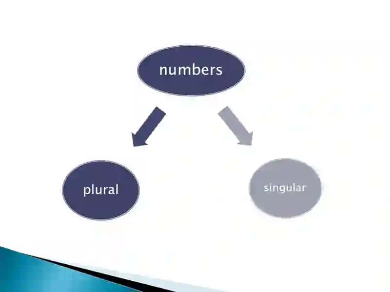 Three grammatical categories in OE substantives 4