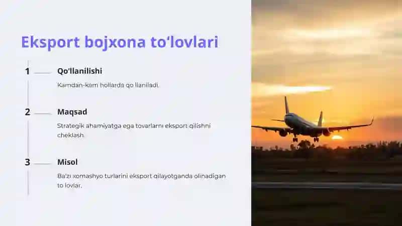 Bojxona toʻlovlari: Ta'rif va ahamiyat 4