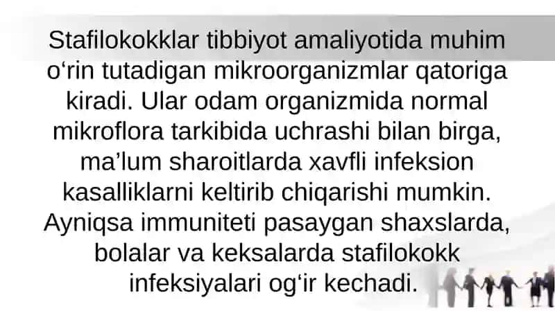 STAFILOKOKKLAR QOʻZGʻATUVCHISI, KLINIKASI VA LABORATORIYA DIAGNOSTIKASI 4