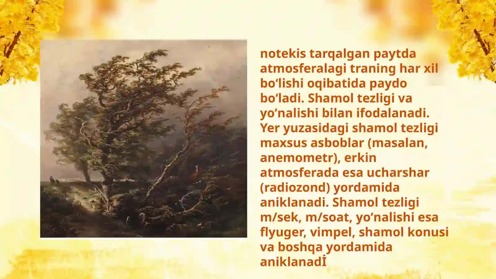 Shamolni o'rmonga ta'sirini o'rganish 4
