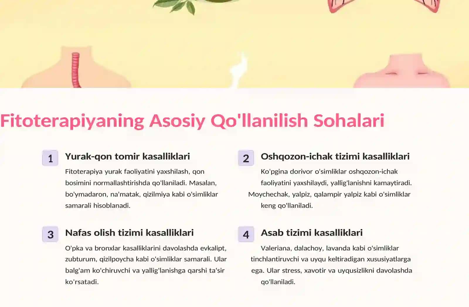 Fitoterapiyaning Tibbiyotdagi O'rni 4