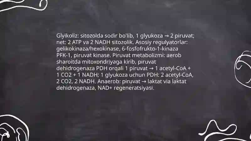 Metabolizm jarayonida energiya hosil bo'lishi va sarflanishi 4