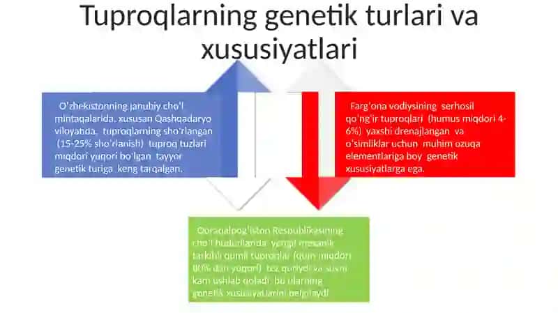 Oʻzbekiston Tuproqlari 4