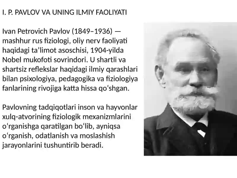 Kichik guruhlarda ishlashda I.P.Pavlov tajribalari 4