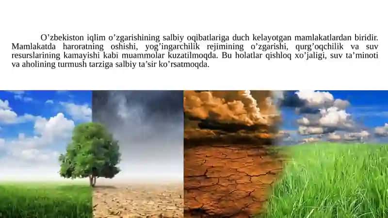 O’rta Osiyodagi iqlim o’zgarishi natijasida yuzaga keladigan muommolar 4
