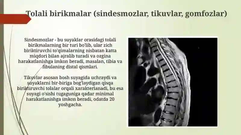 Suyaklarning oʻzaro birikishi - sindesmalogiy 4