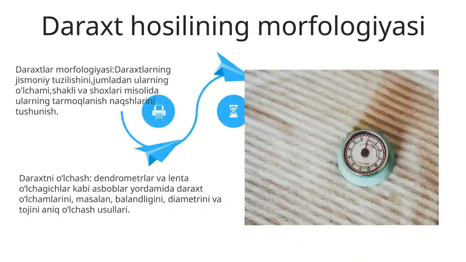 Axborotlarni O'Lchash Va Tasvirlash 4