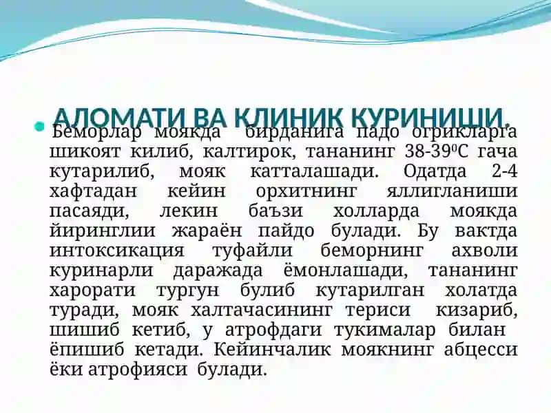 Орхит 4