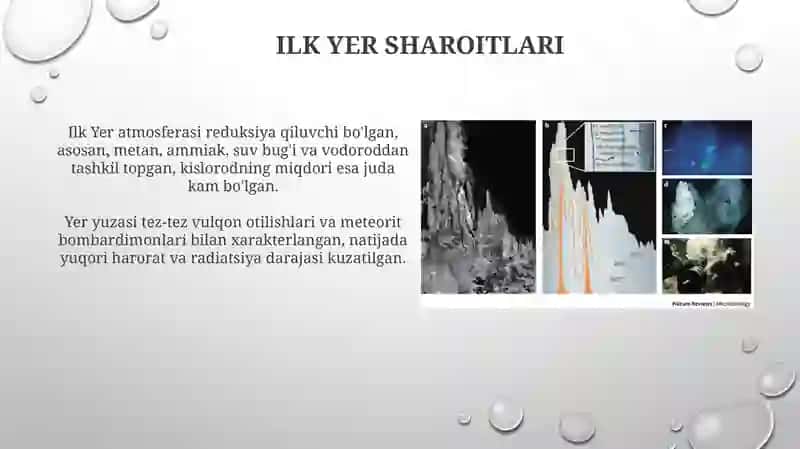 Yerda hayotning paydo bolishi haqidagi farazlar 4