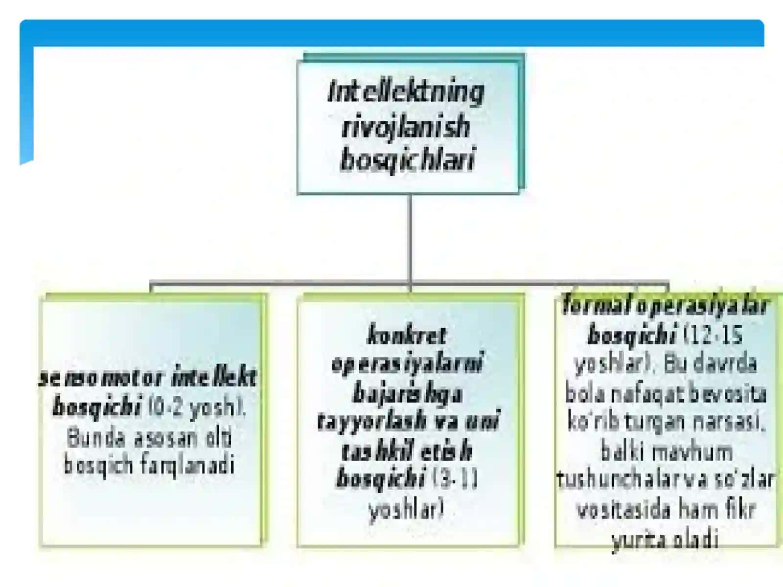 YOSHLIK DAVRI 4