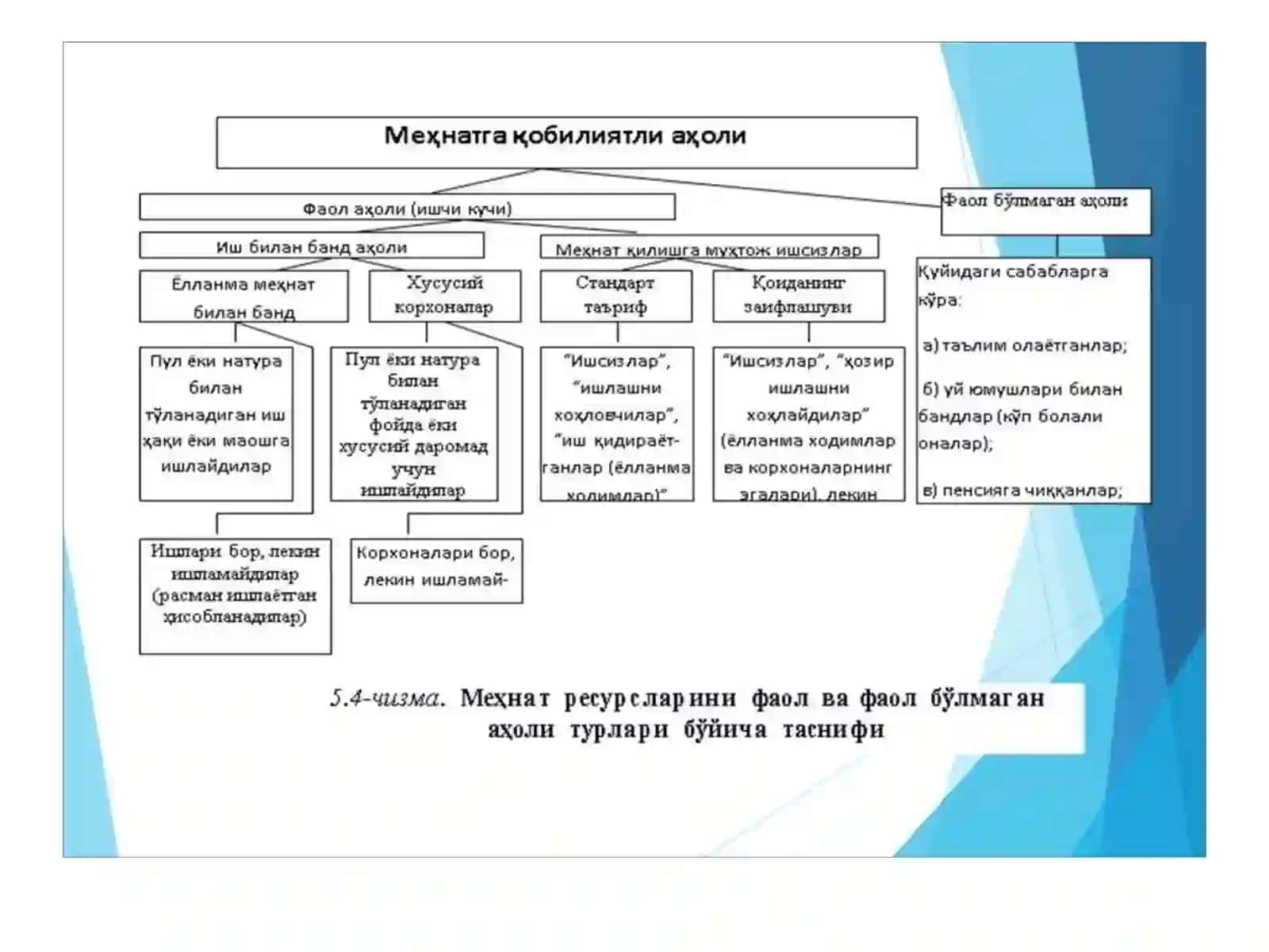 Меҳнат ресурслари ва меҳнат потенциали 4