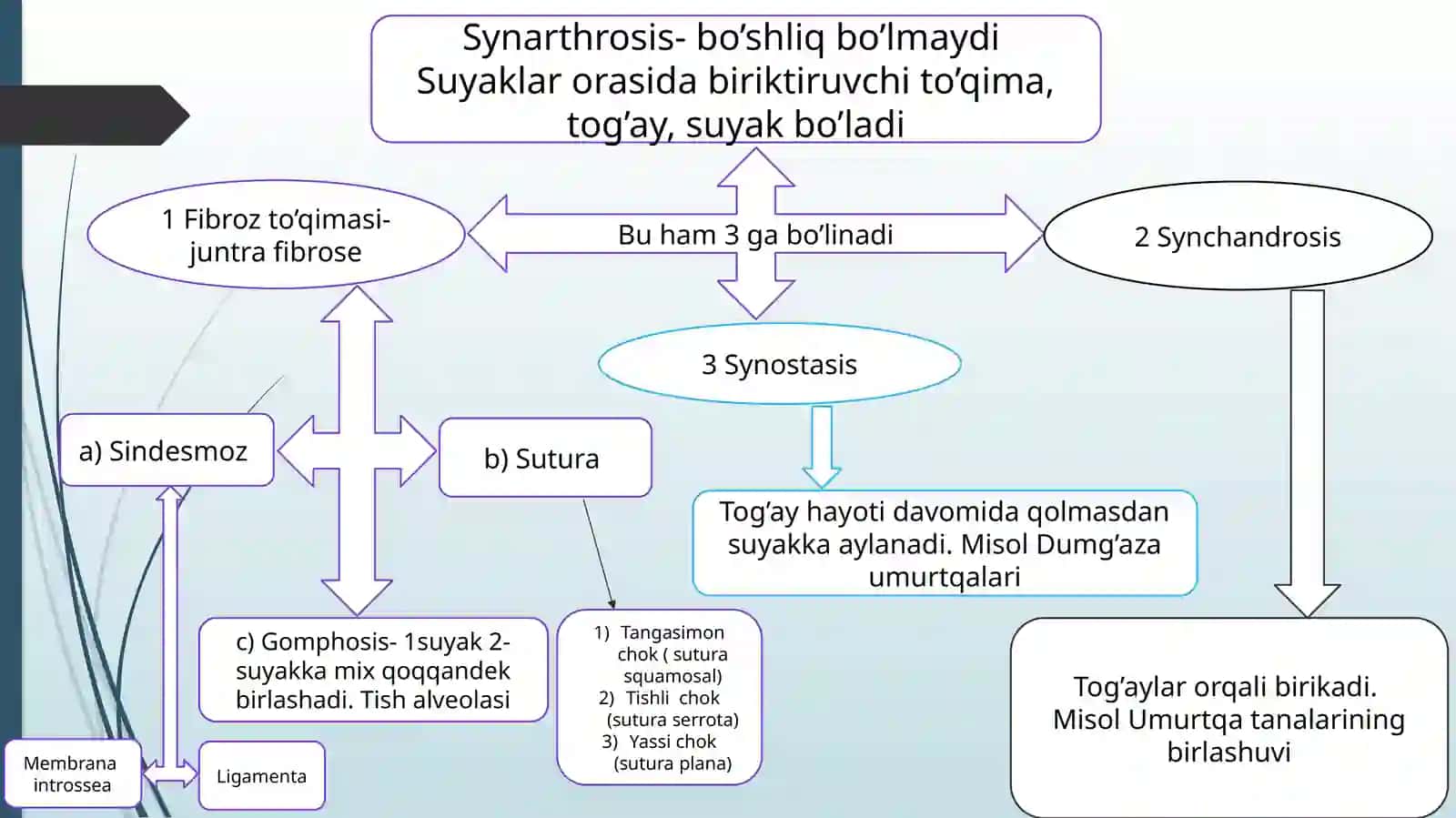 Kallasuyaklarning birlashuvi 4
