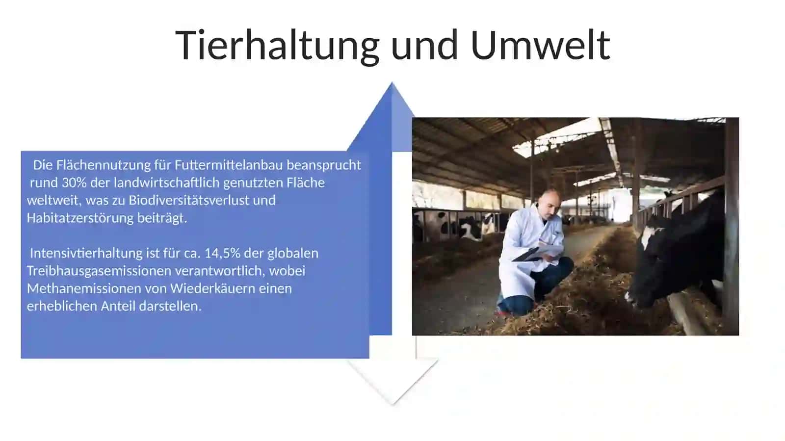 Die Tierzucht 4