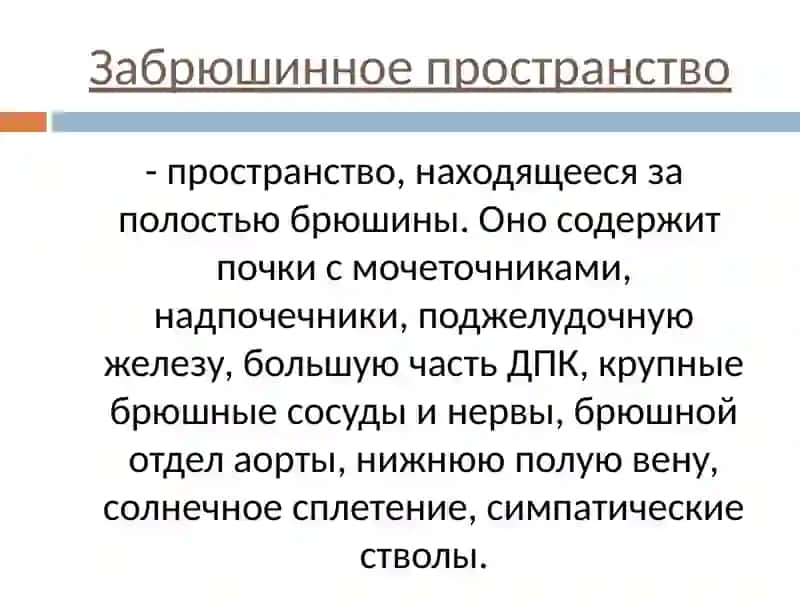 ТОПОГРАФИЧЕСКАЯ АНАТОМИЯ ЖИВОТА 4