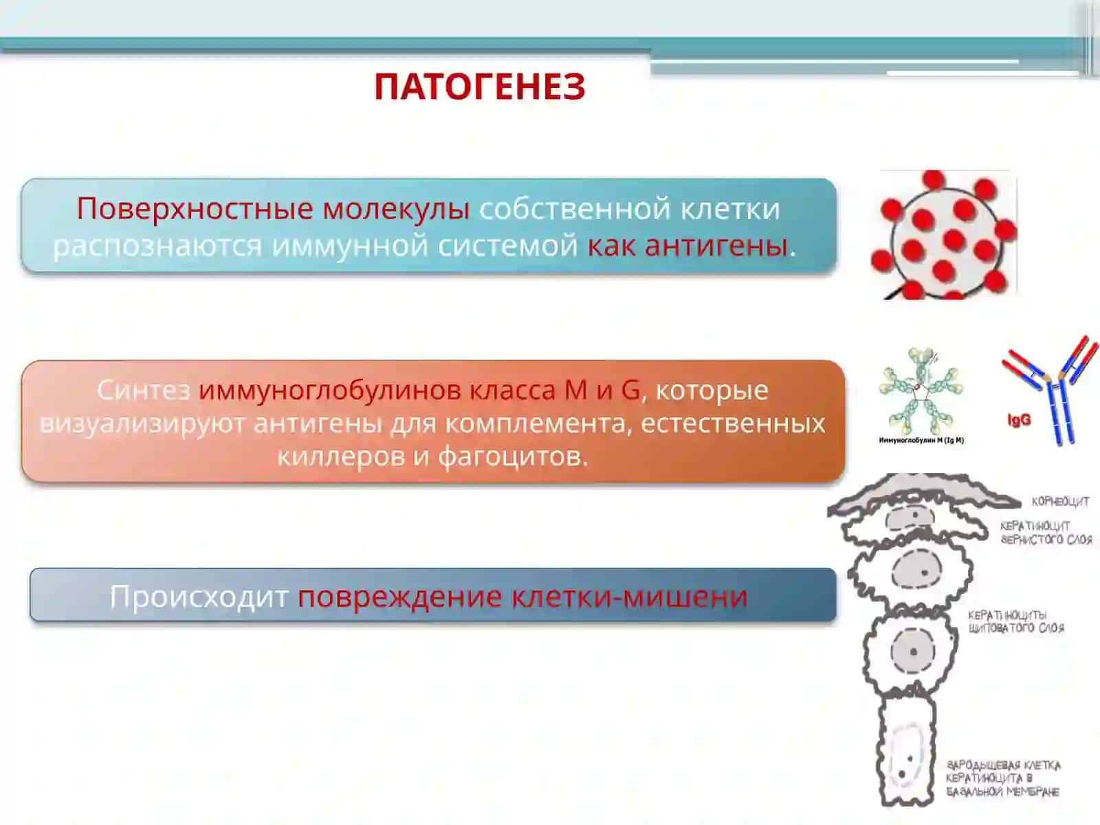 СИНДРОМСТИВЕНсА-ДЖОНСонА 4