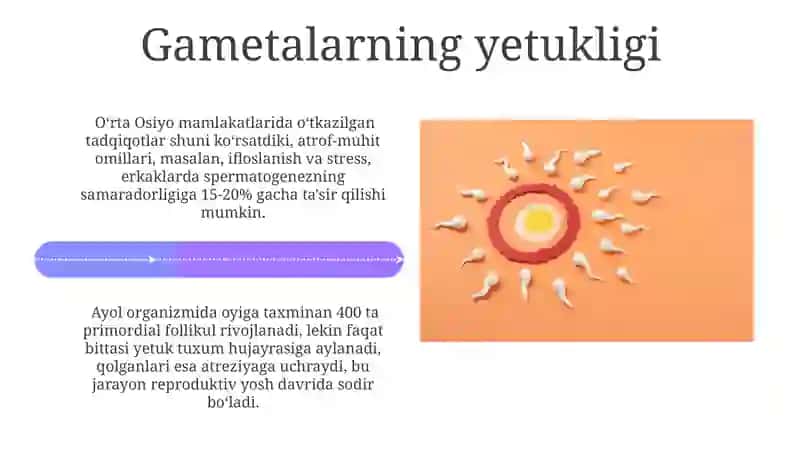 Gametogenez, Parthenogenez, Urug'lanish 4