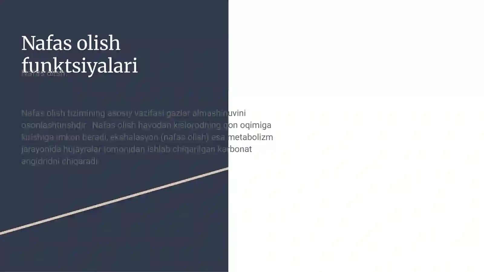 Nafas yöllarıga kıruvchı a'zolar 4