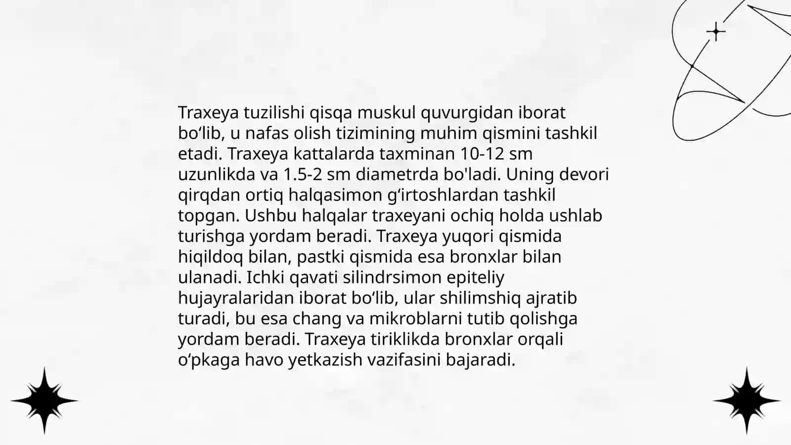 Nafas sistemasi traxeya bronx 4