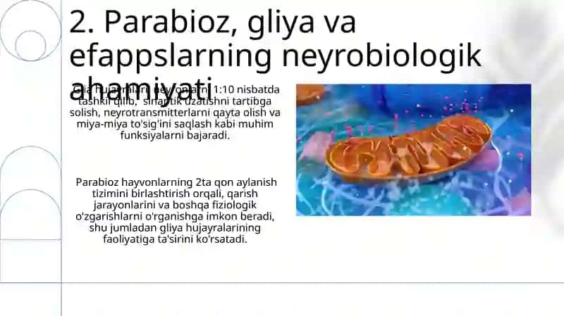 Parabioz Holati 4